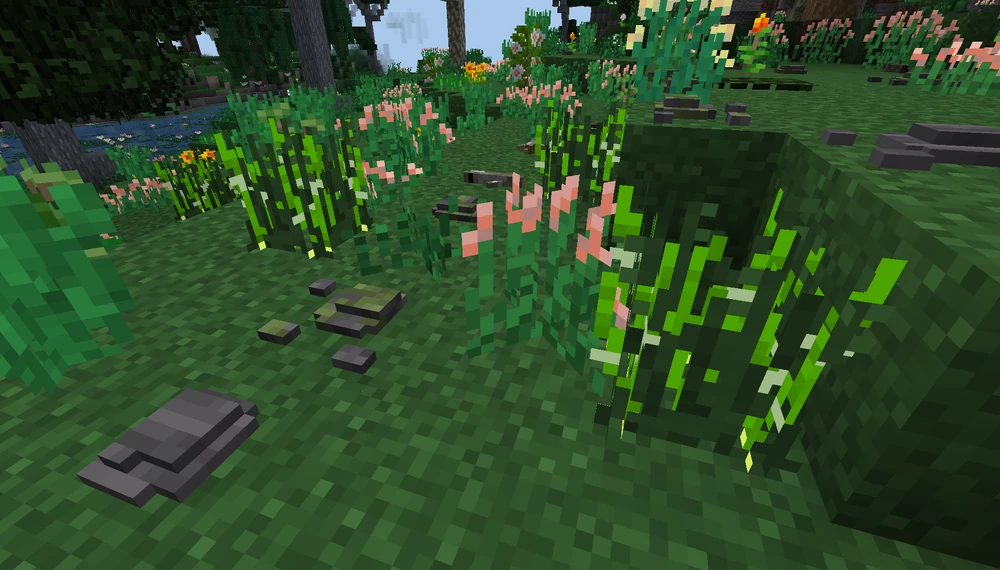 Wild_Garlic