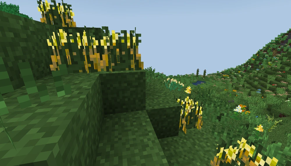 Wild_Barley