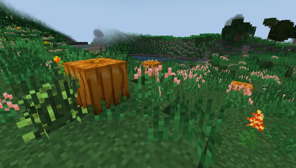 Wild_Pumpkin