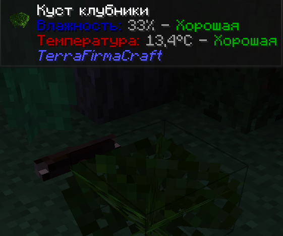 изображение_2026-06-09_185218476