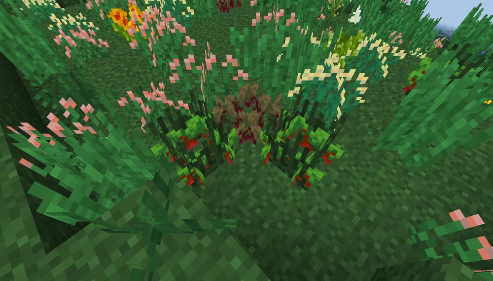 Wild_Beet